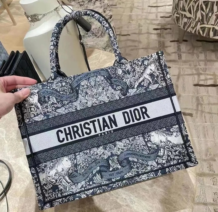 Elegant Dior Bag Replica in Replica Dior Around the World Book Tote Bag