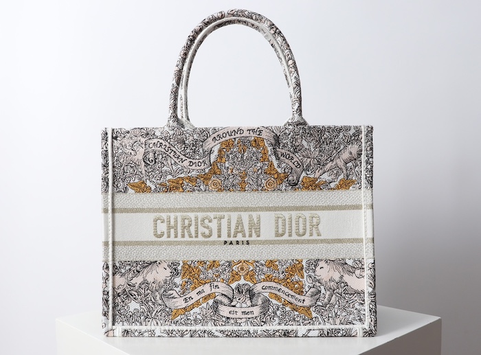 Elegant Dior Bag Replica in Replica Dior Around the World Book Tote Bag