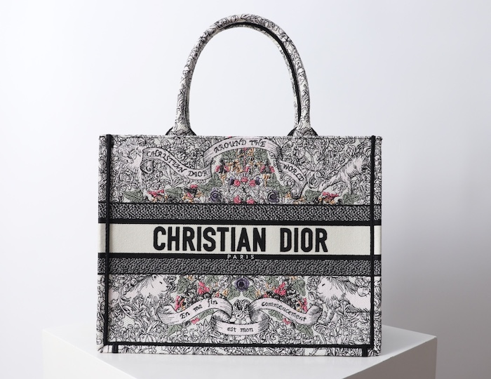 Elegant Dior Bag Replica in Replica Dior Around the World Book Tote Bag