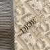 Dior Lingot 50 bag review