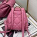 Small Dior Caro Backpack review