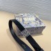 Fake Miss Dior Graffiti Belt