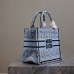 Luxury Dior Book Tote