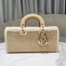 Dior Medium Lady D-Joy Bag beige suede