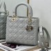 Medium Lady Dior Bag gray