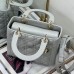 Lady Dior Bag gray