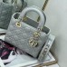 Small Lady Dior Bag gray