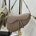 Dior Saddle Bag with Strap price