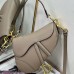 Dior Saddle Bag with Strap Powder Beige