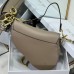 Dior Saddle Bag price