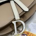 Dior Saddle Bag price