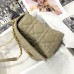 Elegant Dior Bag Replica in Classic Dior Caro Beige Bag