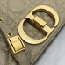 Elegant Dior Bag Replica in Classic Dior Caro Beige Bag