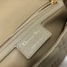 Elegant Dior Bag Replica in Classic Dior Caro Beige Bag