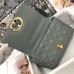 Elegant Dior Bag Replica in Classic Dior Caro Gray Bag