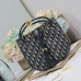 Medium Dior Nolita Bag price