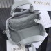 Dior Toujours Bag gray