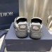 Dior B30 Sneaker Grey