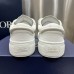 Dior B33 Sneaker reddit